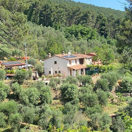 Rivolta Home Buti Dış mekan fotoğraf