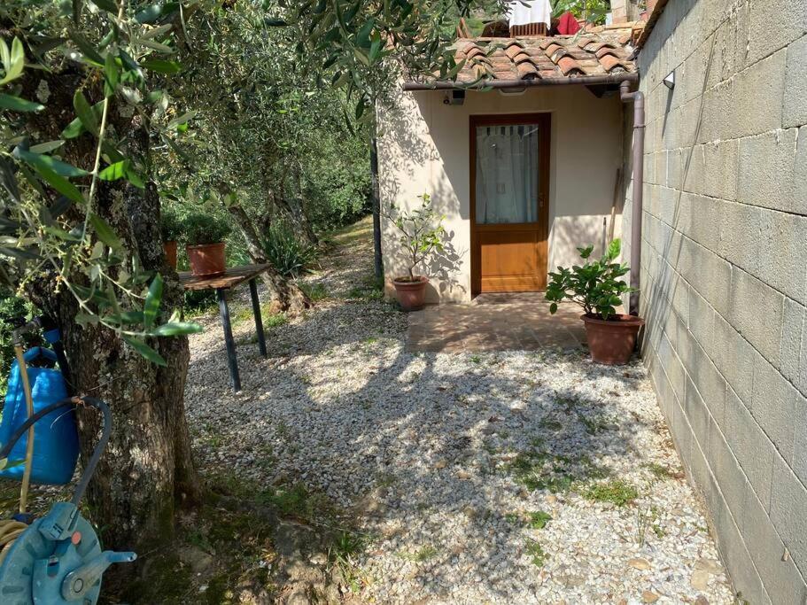 Rivolta Home Buti Dış mekan fotoğraf