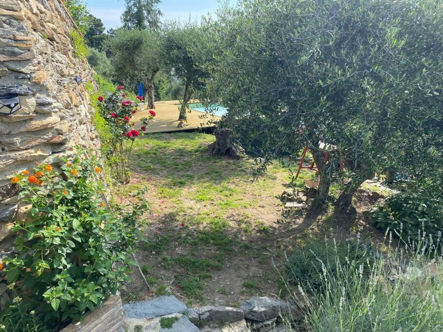 Rivolta Home Buti Dış mekan fotoğraf